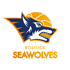 罗斯托克海狼